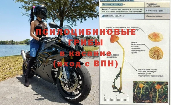 ALPHA-PVP Алексеевка
