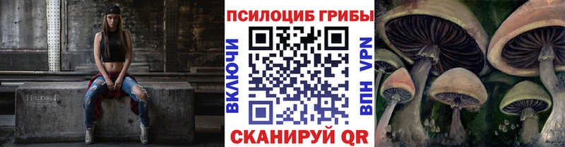 Псилоцибиновые грибы мицелий  OMG   Алагир 